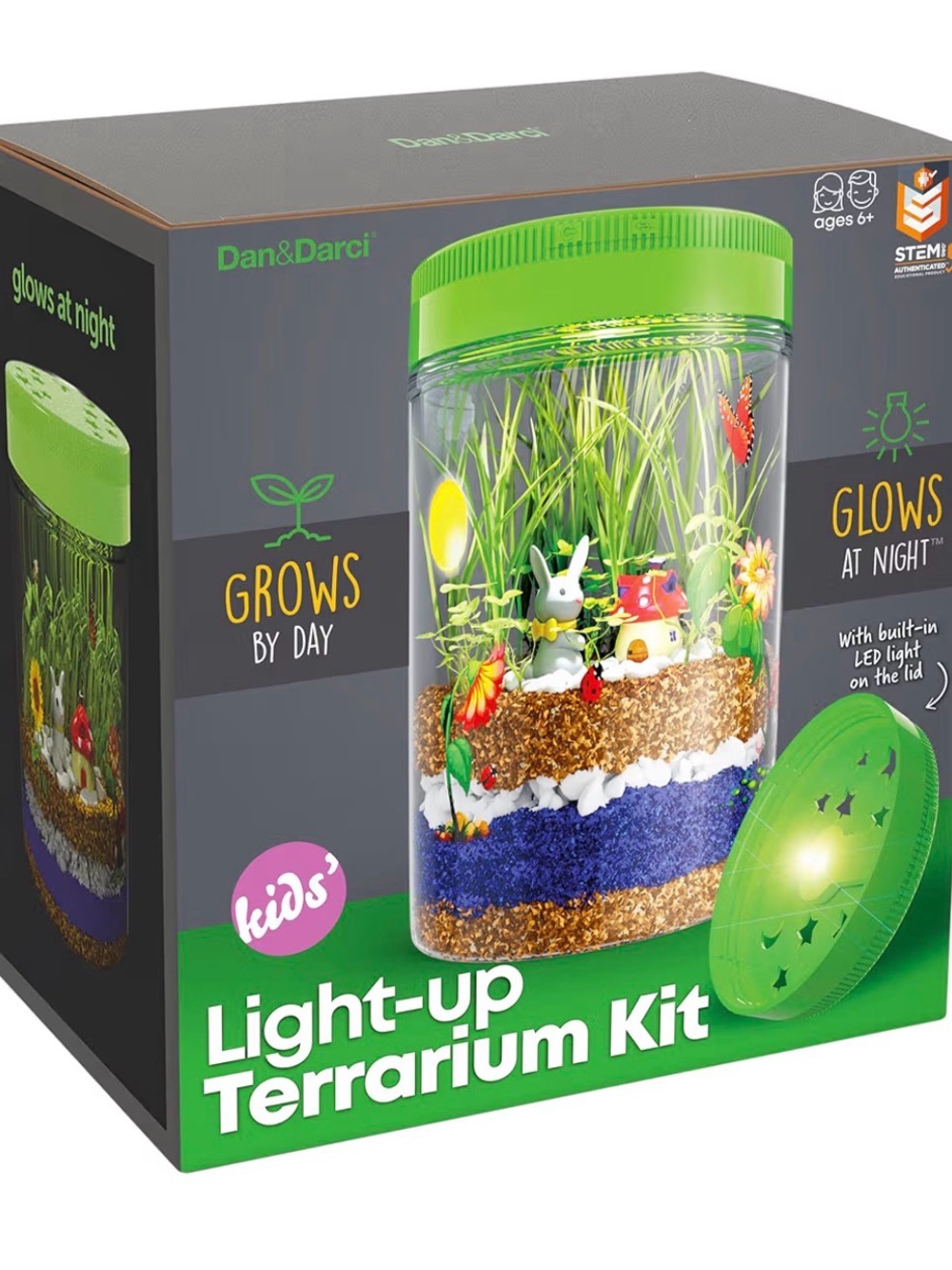 Dan & Darci Green Light-Up Terrarium Kit